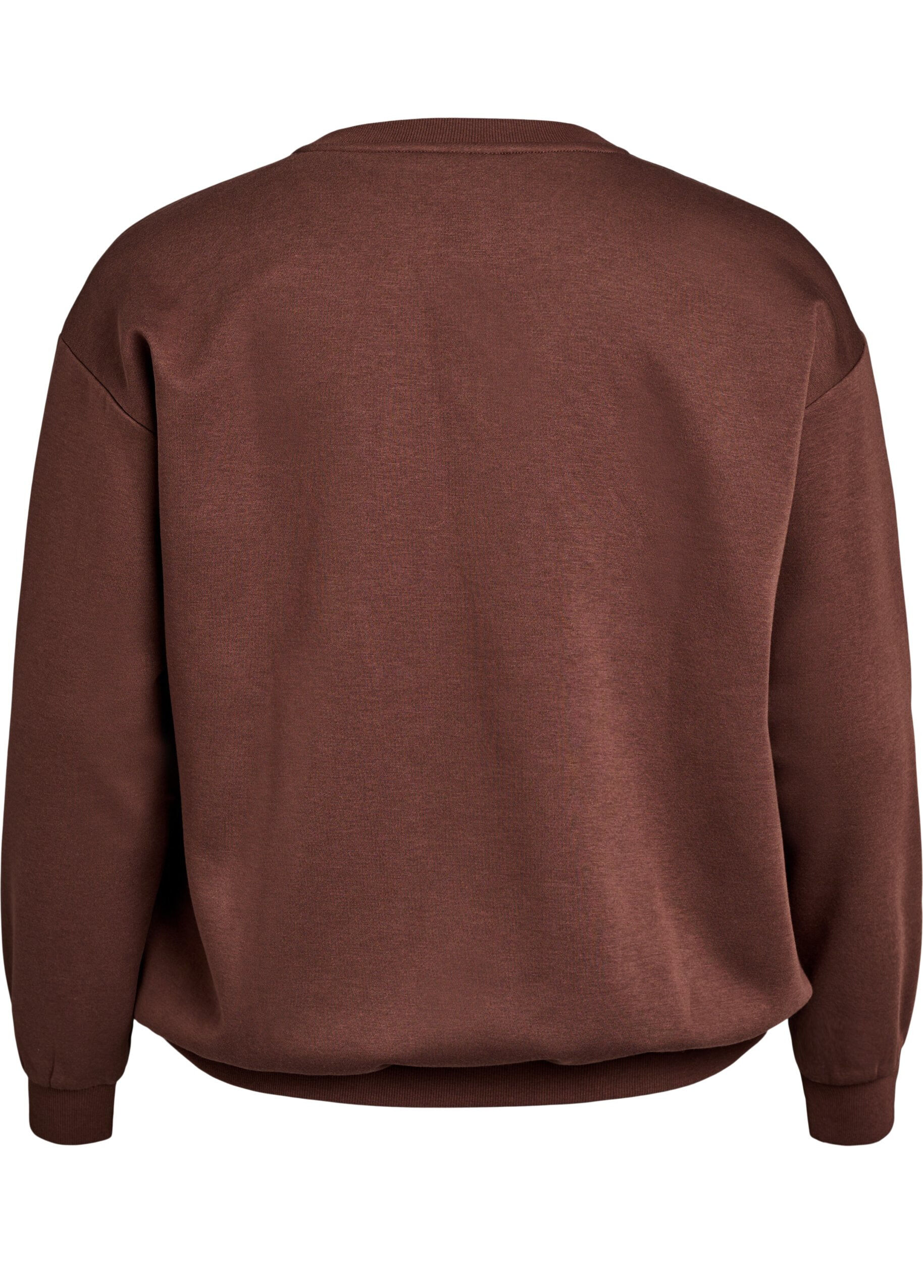 ZizziSweatshirt mit gesticktem Text, Braun, Packshot image number 1