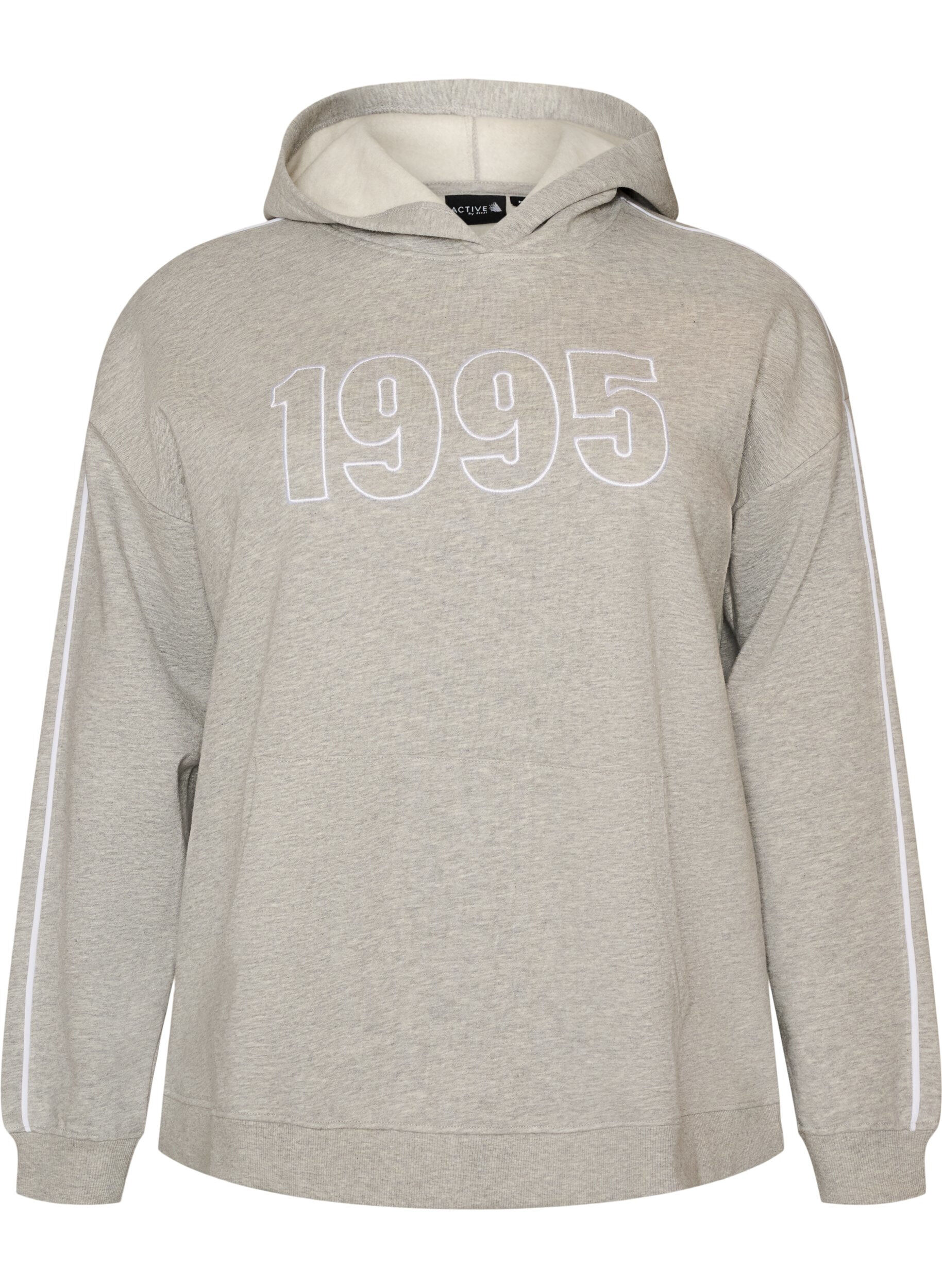 ZizziHoodie mit besticktem Motiv, Grau, Packshot image number 0