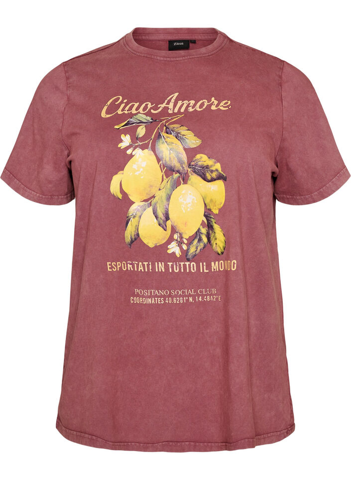 Baumwoll-T-Shirt mit Frontprint und gewaschener Optik, Rot, Packshot image number 0