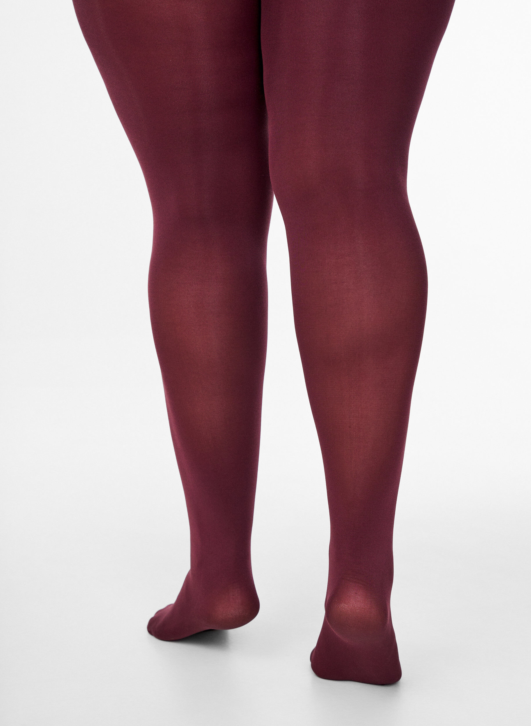 Zizzi100 Denier Strumpfhose, Rot, Model image number 1