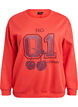 Sweatshirt mit Motiv auf der Vorderseite, Rot, Packshot image number 0