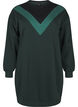 Langes Sweatshirt mit Farbblock, Scarab Color Block, Packshot image number 0