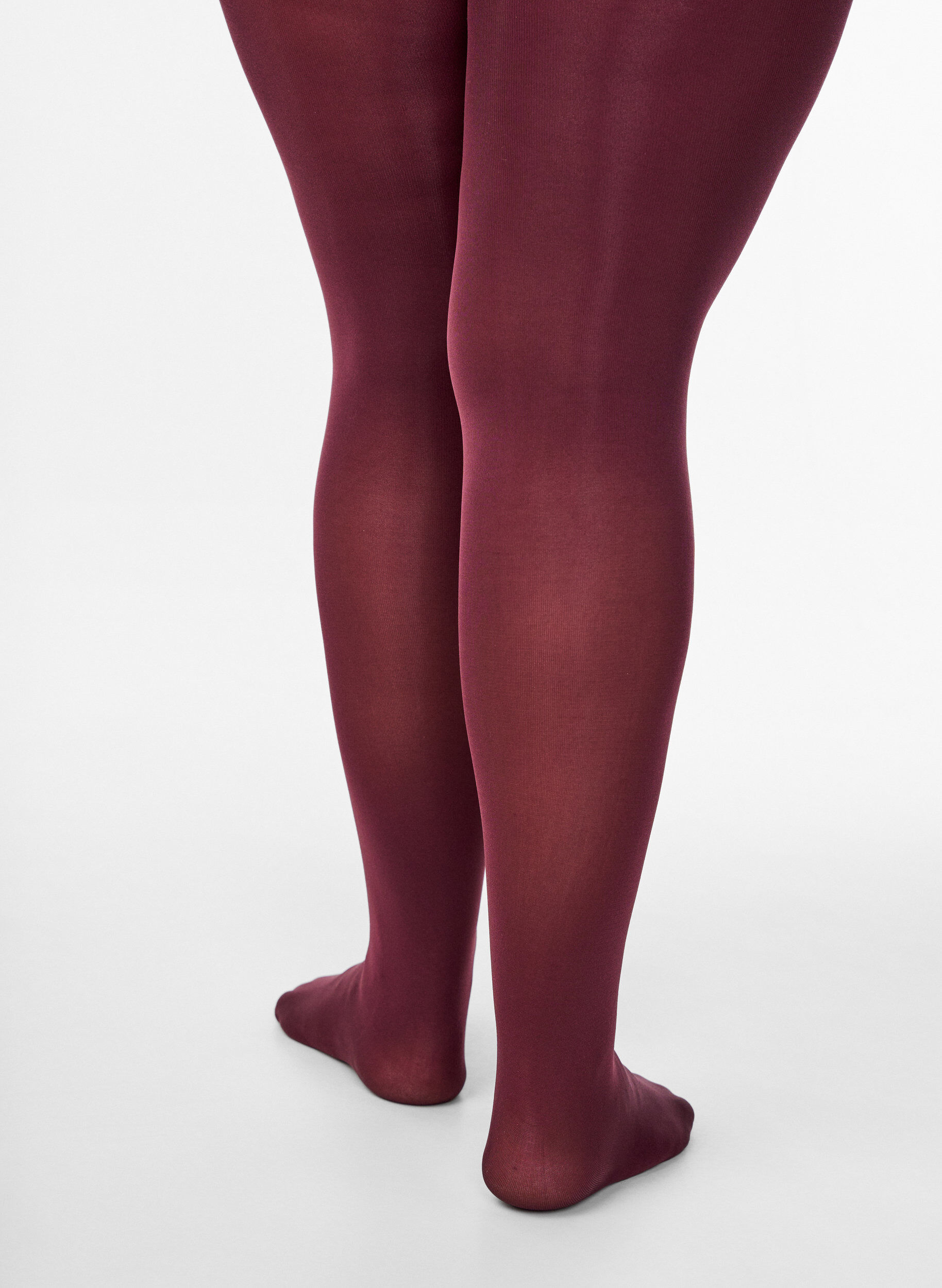 Zizzi100 Denier Strumpfhose, Rot, Model image number 2