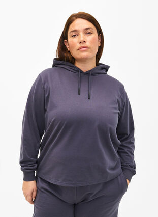 Sweatshirt-Hoodie, Ombre Blue, Model image number 0