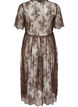Midikleid aus transparenter Spitze mit kurzen &Auml;rmeln, Braun, Packshot image number 1