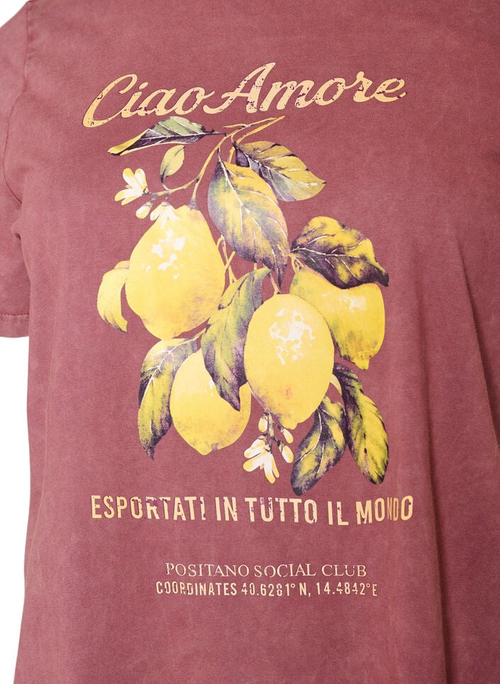 Baumwoll-T-Shirt mit Frontprint und gewaschener Optik, Rot, Packshot image number 2