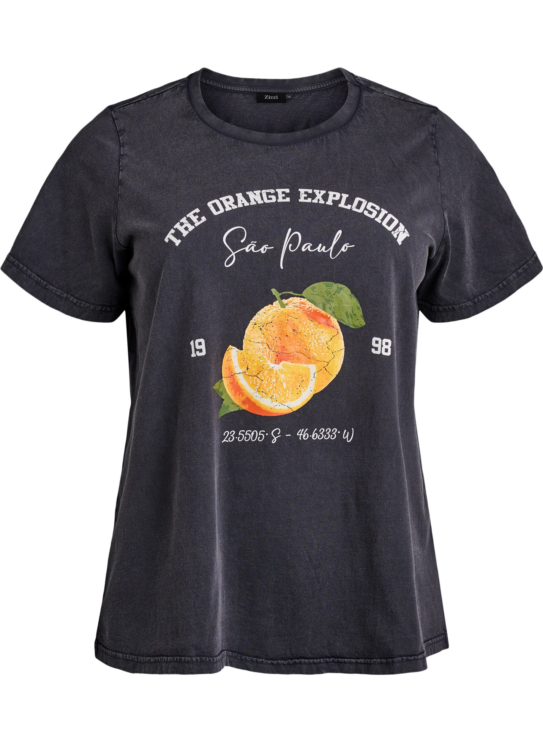 ZizziT-Shirt aus Bio-Baumwolle mit Print, Grau, Packshot image number 0