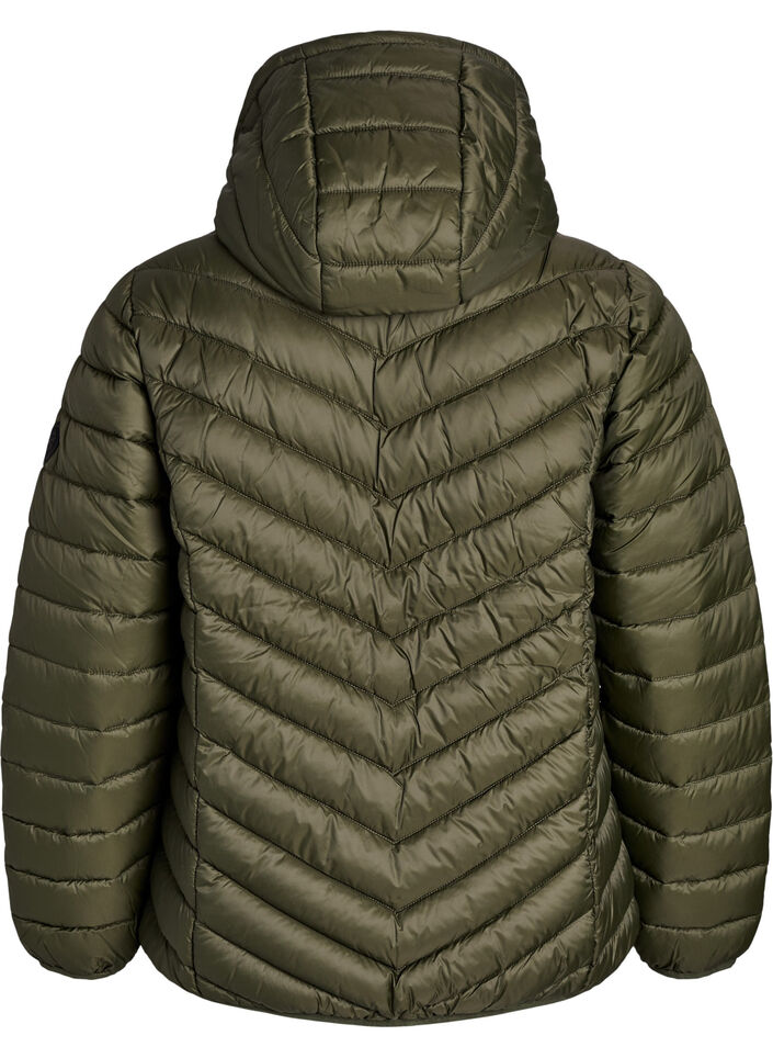 Leichte Steppjacke mit Kapuze, Gr&uuml;n, Packshot image number 1