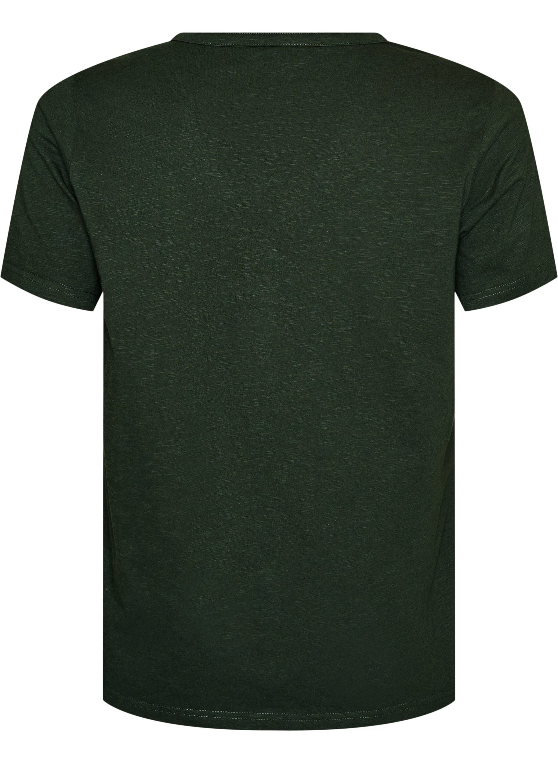 ZizziT-Shirt mit Knopfleiste, Gr&uuml;n, Packshot image number 1